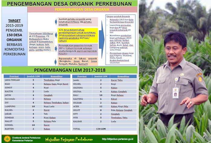 Perlindungan Perkebunan, DitjenBun Bentuk  31 BPT dan 61 Unit RPO